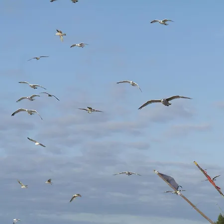 Na Fali شقة فندقية ساربينوفو