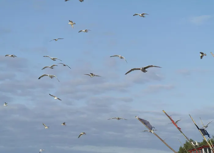 Na Fali Hotel apartamentowy Sarbinowo